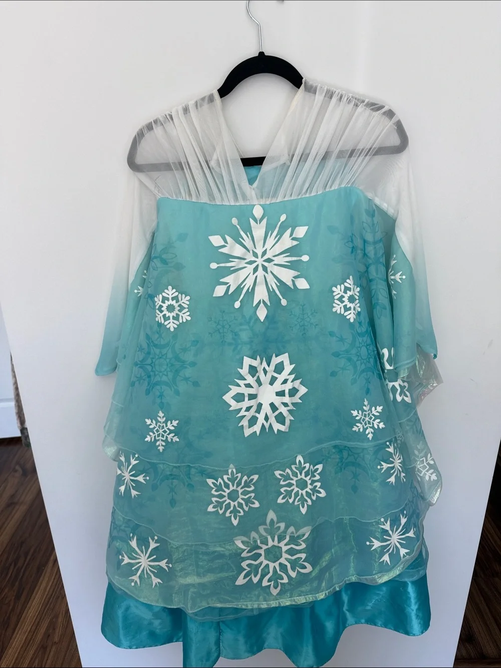 Disney shimmery bodice